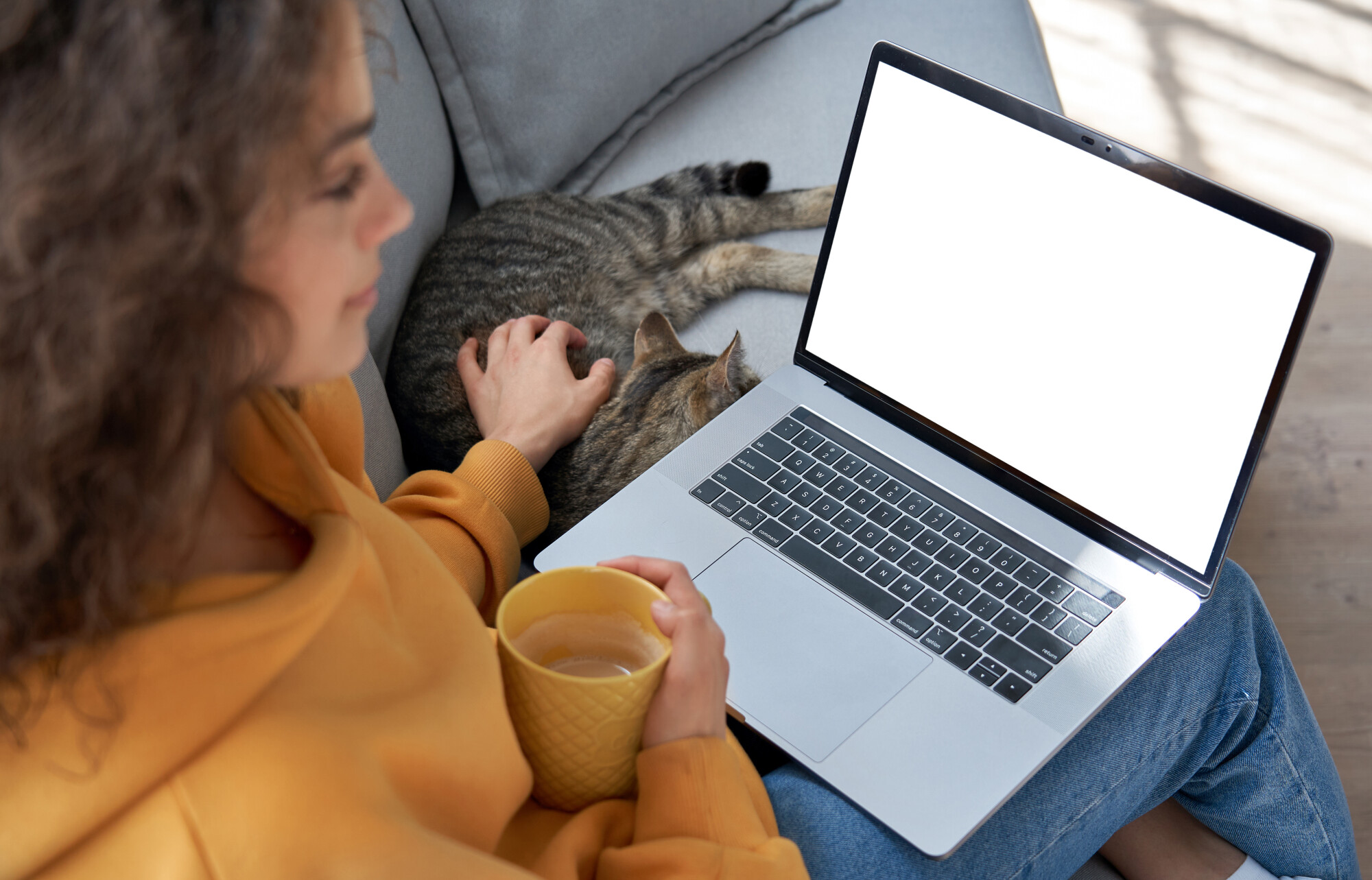 Pros and Cons of Allowing Pets in a Rental Property in Columbia, SC